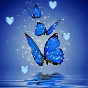 Meet your Posher, Melena